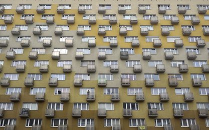 Image 445117654