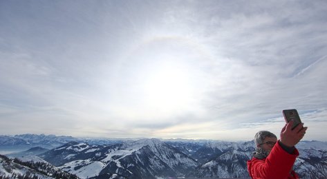 Image 445156982