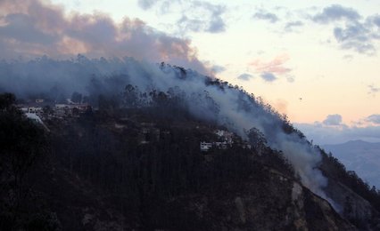 Image 445192854