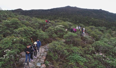 Image 445196542