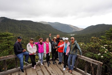 Image 445196553