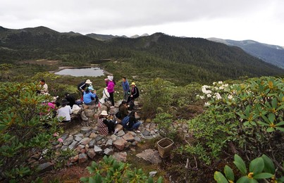 Image 445196566