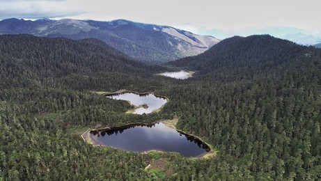 Image 445196597