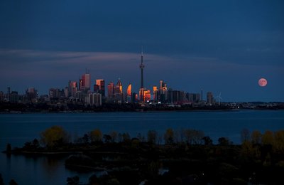 Image 445197525