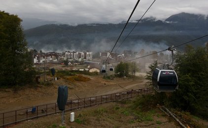 Image 445216498