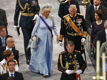 Image 445221185