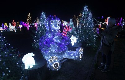 Image 445244874