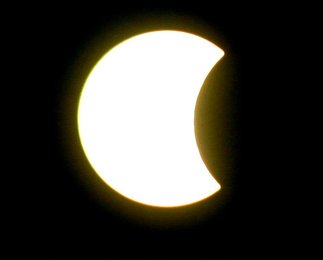 Image 445263426