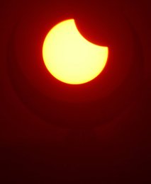 Image 445263547