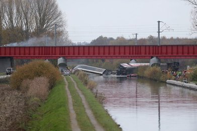 Image 445268057