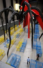 Image 445298685