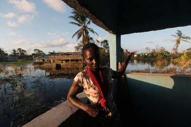 Image 445375316