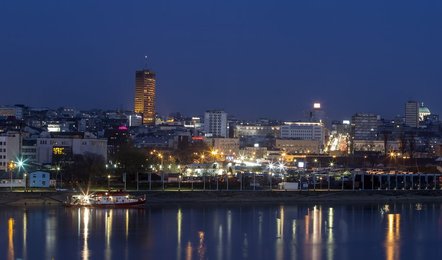 Image 445399507