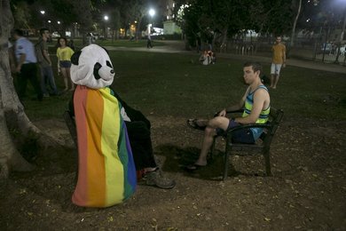 Image 445405263