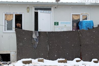 Image 445419768