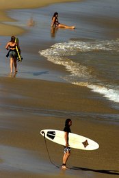 Image 445462285