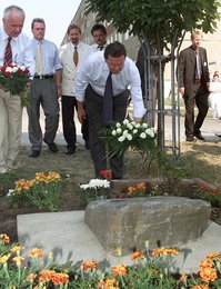 Image 445466613