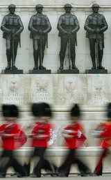 Image 445489205