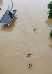 Image 445496928