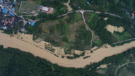 Image 445496975