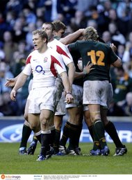 Image 445515425