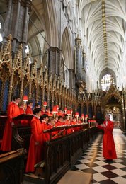 Image 445517927
