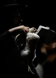 Image 445533177