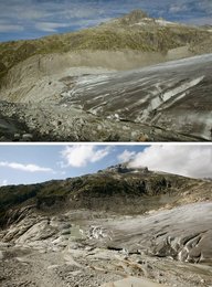 Image 445542894