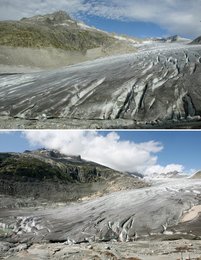 Image 445542908