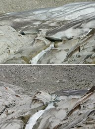 Image 445542942