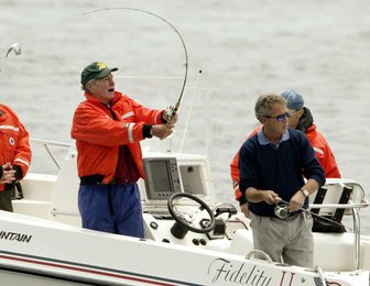Image 445569477