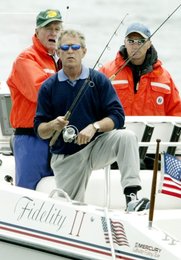 Image 445569490