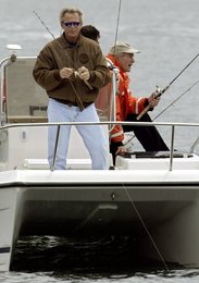 Image 445569681
