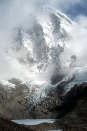 Image 445570835