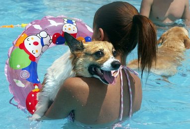 Image 445571450