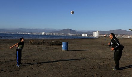 Image 445684734