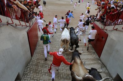 Image 445685332