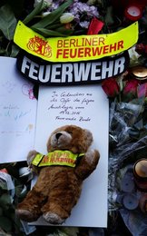 Image 445720882