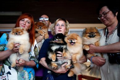 Image 445725560