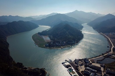 Image 445732341