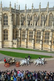 Image 445788029