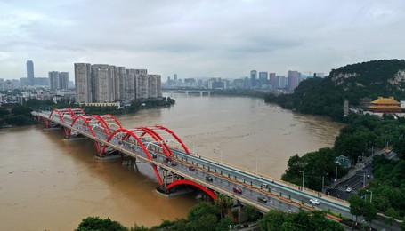 Image 445938050