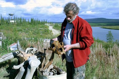 Image 445988153
