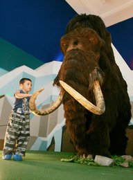Image 445988175