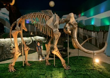 Image 445988180