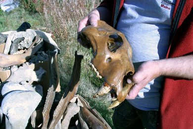 Image 445988183