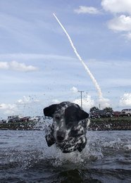 Image 446152965