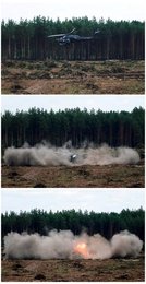 Image 446246855