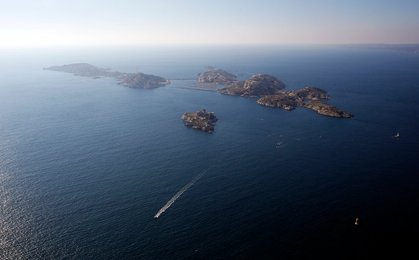 Image 446251952