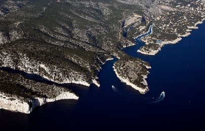 Image 446252045